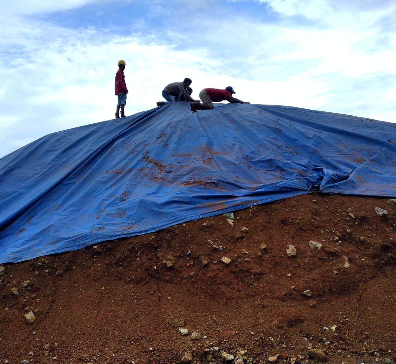 Tiga pekerja merapikan terpal biru di puncak stockpile tanah merah dengan mata ayam terlihat di tepi